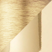 Satin Brass/Polished Brass